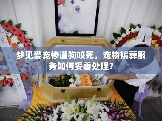 梦见爱宠惨遭狗咬死，宠物殡葬服务如何妥善处理？