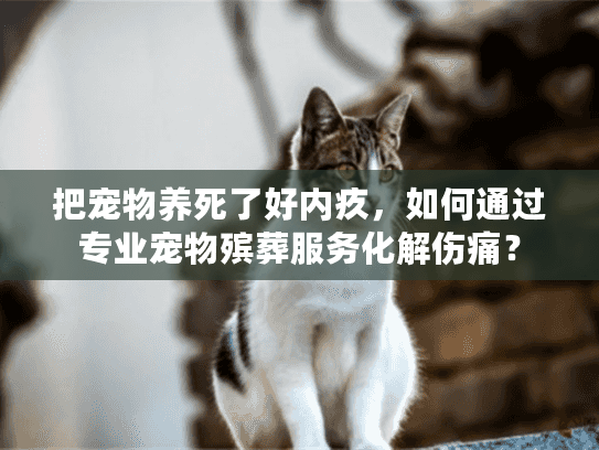 把宠物养死了好内疚,如何通过专业宠物殡葬服务化解伤痛? 把宠物养死了好内疚,如何通过专业宠物殡葬服务化解伤痛?