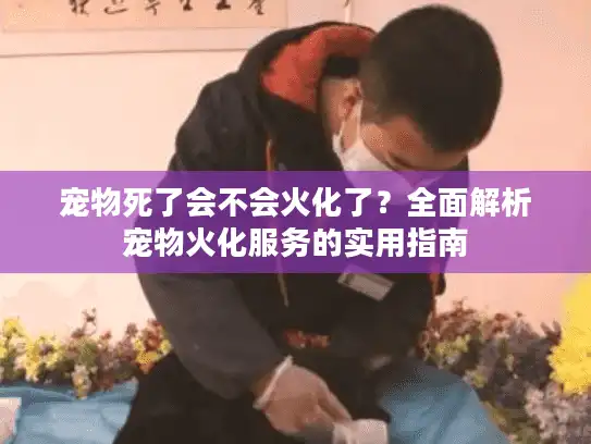 宠物死了会不会火化了？全面解析宠物火化服务的实用指南