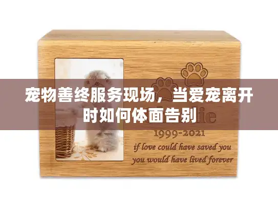 宠物善终服务现场，当爱宠离开时如何体面告别