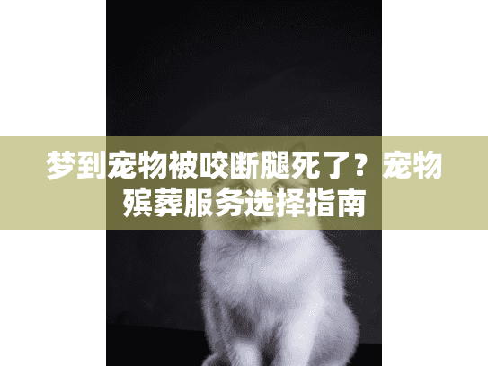 梦到宠物被咬断腿死了?宠物殡葬服务选择指南 梦到宠物被咬断腿死了?宠物殡葬服务选择指南