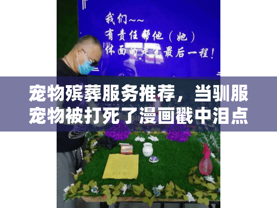 宠物殡葬服务推荐，当驯服宠物被打死了漫画戳中泪点后该做什么?