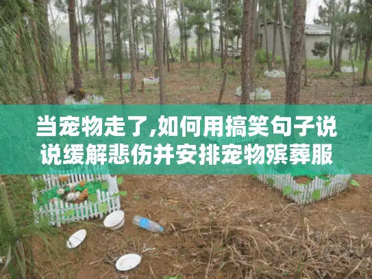 当宠物走了,如何用搞笑句子说说缓解悲伤并安排宠物殡葬服务?