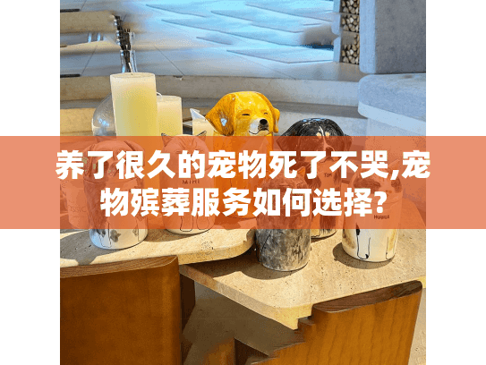 养了很久的宠物死了不哭,宠物殡葬服务如何选择? 养了很久的宠物死了不哭,宠物殡葬服务如何选择?