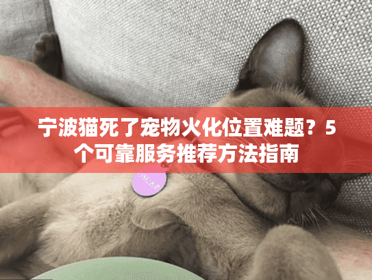 宁波猫死了宠物火化位置难题？5个可靠服务推荐方法指南