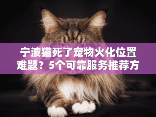 宁波猫死了宠物火化位置难题？5个可靠服务推荐方法指南