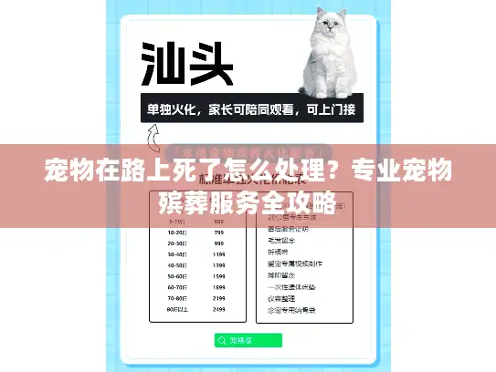 宠物在路上死了怎么处理?专业宠物殡葬服务全攻略 宠物在路上死了怎么处理?专业宠物殡葬服务全攻略