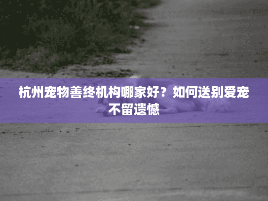 杭州宠物善终机构哪家好？如何送别爱宠不留遗憾