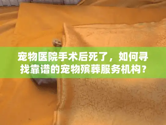 宠物医院手术后死了,如何寻找靠谱的宠物殡葬服务机构? 宠物医院手术后死了,如何寻找靠谱的宠物殡葬服务机构?