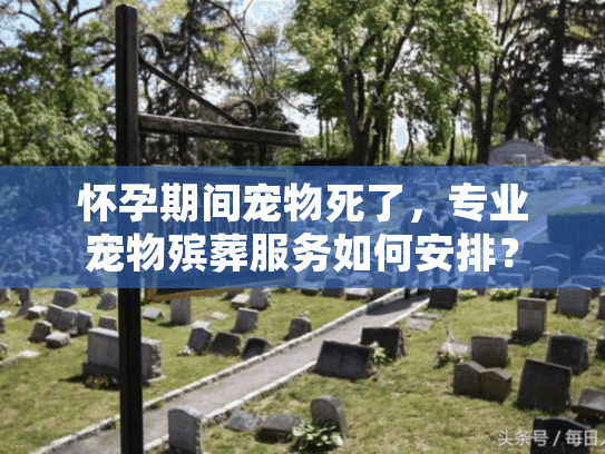 怀孕期间宠物死了,专业宠物殡葬服务如何安排? 怀孕期间宠物死了,专业宠物殡葬服务如何安排?