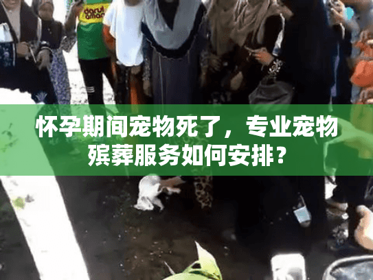 怀孕期间宠物死了,专业宠物殡葬服务如何安排? 怀孕期间宠物死了,专业宠物殡葬服务如何安排?