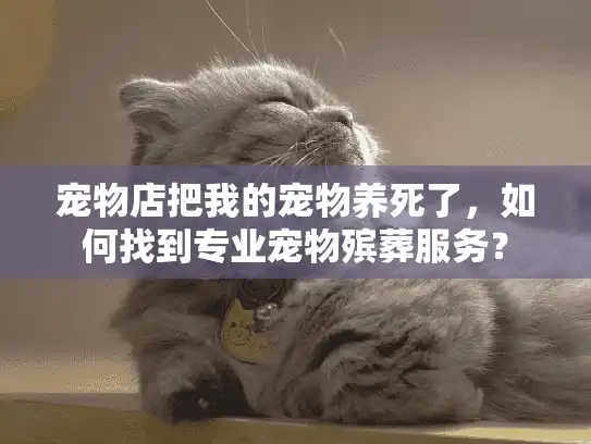 宠物店把我的宠物养死了,如何找到专业宠物殡葬服务? 宠物店把我的宠物养死了,如何找到专业宠物殡葬服务?