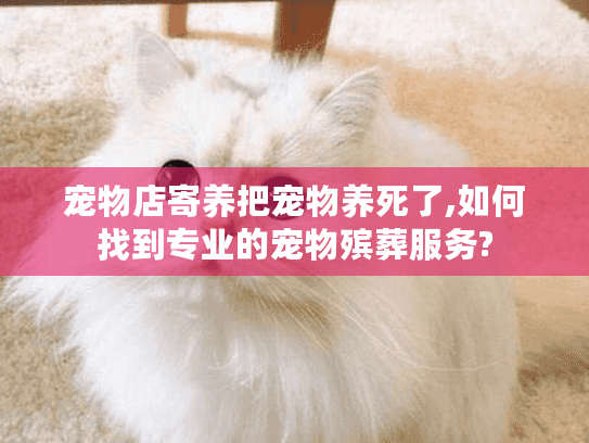 宠物店寄养把宠物养死了,如何找到专业的宠物殡葬服务?