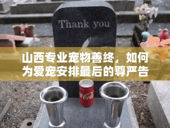 山西专业宠物善终，如何为爱宠安排最后的尊严告别？