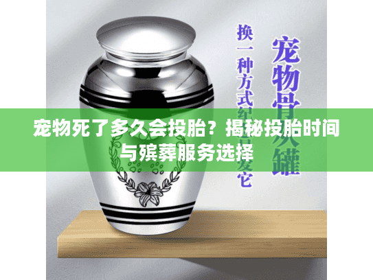 宠物死了多久会投胎？揭秘投胎时间与殡葬服务选择