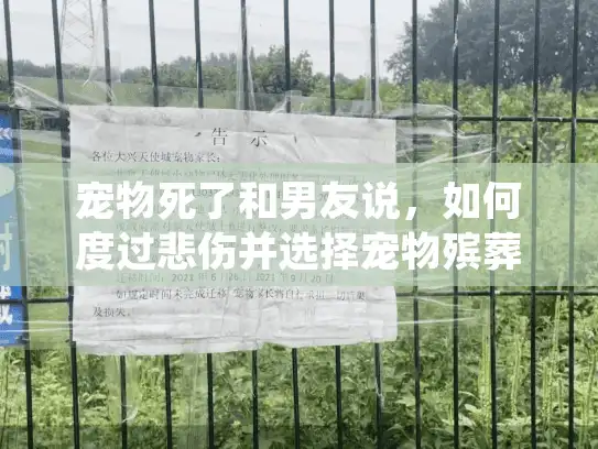 宠物死了和男友说,如何度过悲伤并选择宠物殡葬服务? 宠物死了和男友说,如何度过悲伤并选择宠物殡葬服务?