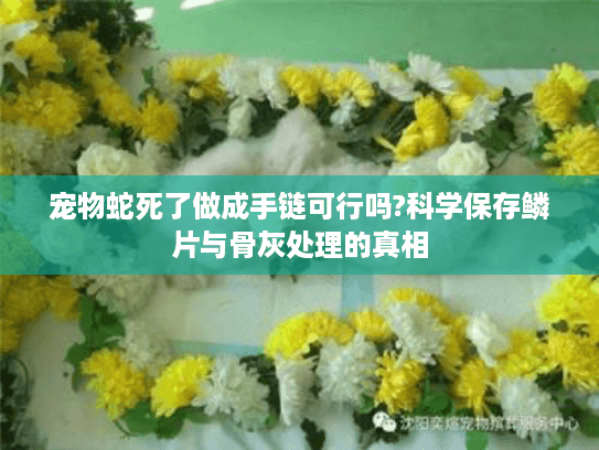 宠物蛇死了做成手链可行吗?科学保存鳞片与骨灰处理的真相