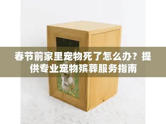 春节前家里宠物死了怎么办？提供专业宠物殡葬服务指南