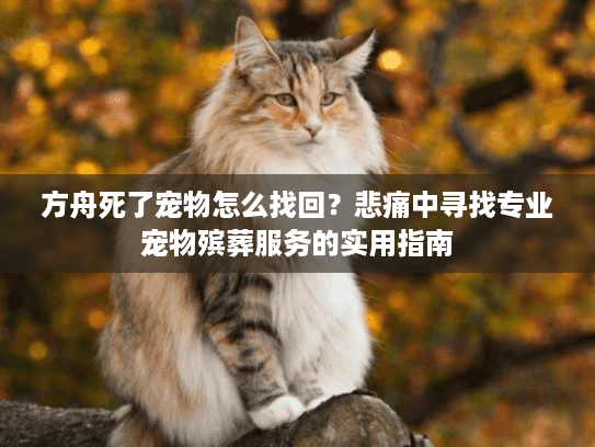 方舟死了宠物怎么找回？悲痛中寻找专业宠物殡葬服务的实用指南