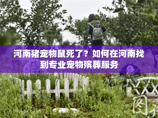 河南猪宠物鼠死了？如何在河南找到专业宠物殡葬服务