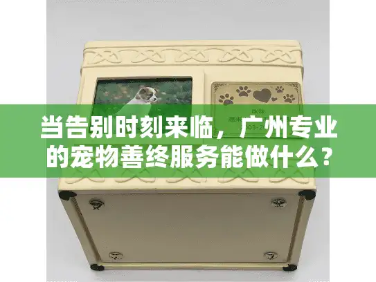 当告别时刻来临,广州专业的宠物善终服务能做什么? 当告别时刻来临,广州专业的宠物善终服务能做什么?