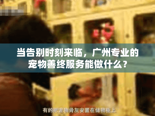 当告别时刻来临,广州专业的宠物善终服务能做什么? 当告别时刻来临,广州专业的宠物善终服务能做什么?