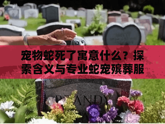 宠物蛇死了寓意什么？探索含义与专业蛇宠殡葬服务指南