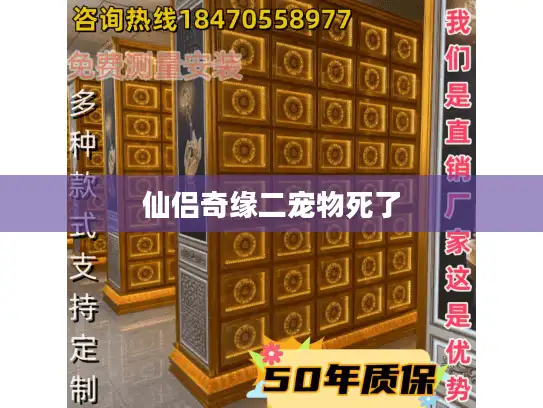 仙侣奇缘二宠物死了 仙侣奇缘二宠物死了