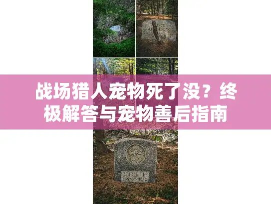 战场猎人宠物死了没？终极解答与宠物善后指南