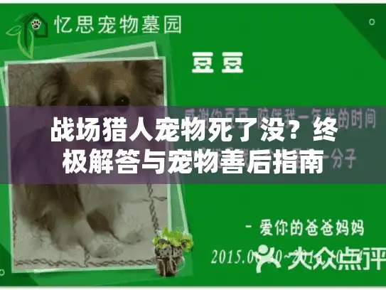战场猎人宠物死了没？终极解答与宠物善后指南