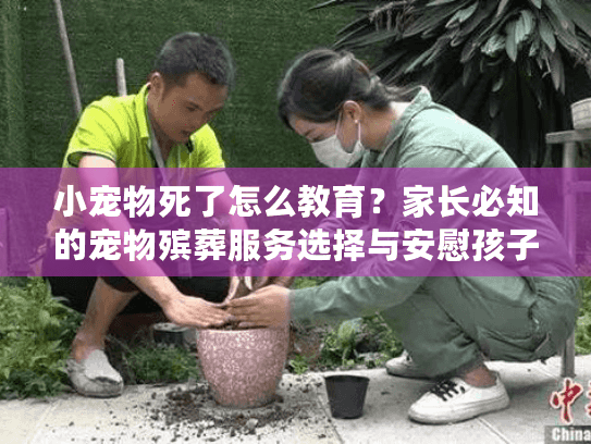 小宠物死了怎么教育？家长必知的宠物殡葬服务选择与安慰孩子指南