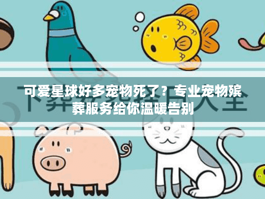 可爱星球好多宠物死了？专业宠物殡葬服务给你温暖告别