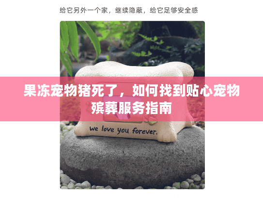 果冻宠物猪死了,如何找到贴心宠物殡葬服务指南 果冻宠物猪死了,如何找到贴心宠物殡葬服务指南