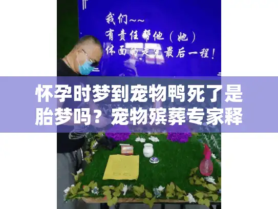 怀孕时梦到宠物鸭死了是胎梦吗？宠物殡葬专家释疑