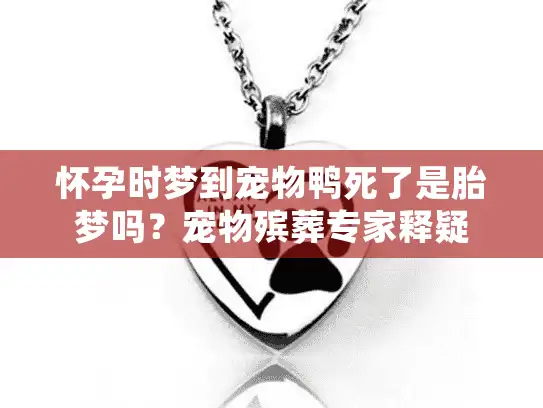 怀孕时梦到宠物鸭死了是胎梦吗？宠物殡葬专家释疑