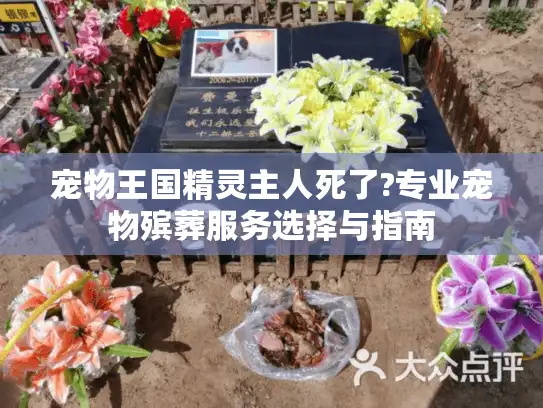 宠物王国精灵主人死了?专业宠物殡葬服务选择与指南