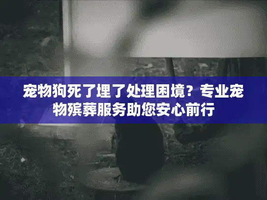 宠物狗死了埋了处理困境？专业宠物殡葬服务助您安心前行