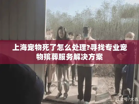 上海宠物死了怎么处理?寻找专业宠物殡葬服务解决方案 上海宠物死了怎么处理?寻找专业宠物殡葬服务解决方案