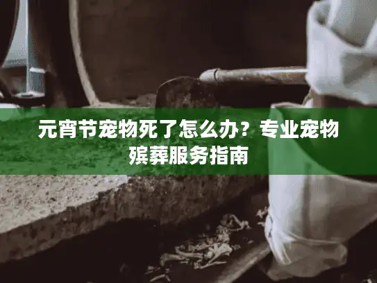 元宵节宠物死了怎么办？专业宠物殡葬服务指南
