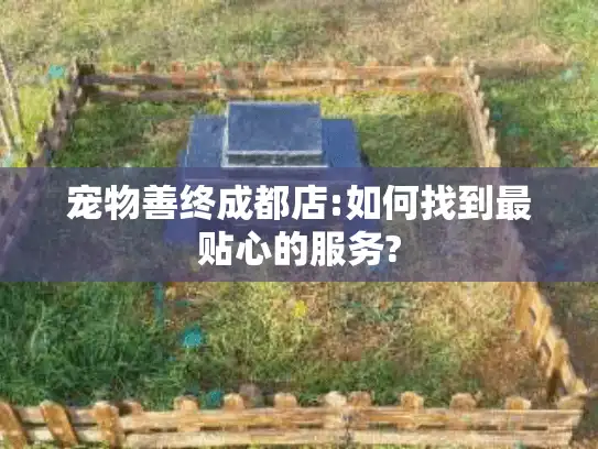 宠物善终成都店:如何找到最贴心的服务?