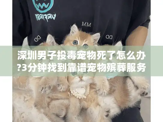 深圳男子投毒宠物死了怎么办?3分钟找到靠谱宠物殡葬服务