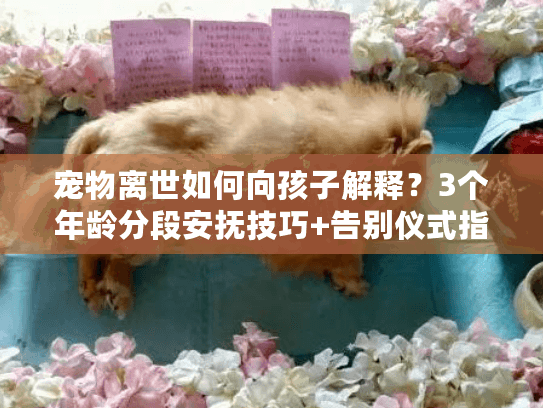 宠物离世如何向孩子解释？3个年龄分段安抚技巧+告别仪式指南
