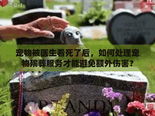 宠物被医生看死了后，如何处理宠物殡葬服务才能避免额外伤害？