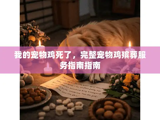 我的宠物鸡死了,完整宠物鸡殡葬服务指南指南 我的宠物鸡死了,完整宠物鸡殡葬服务指南指南