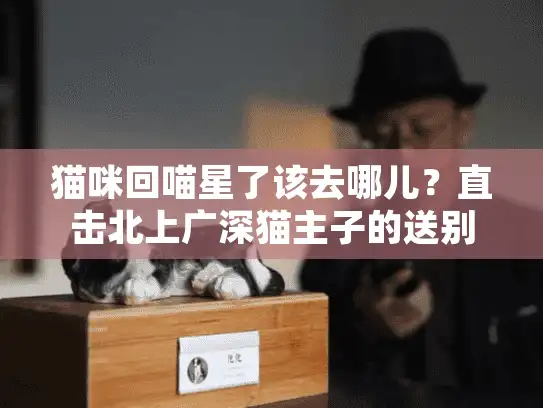 猫咪回喵星了该去哪儿？直击北上广深猫主子的送别指南