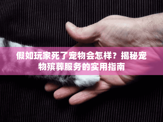 假如玩家死了宠物会怎样?揭秘宠物殡葬服务的实用指南 假如玩家死了宠物会怎样?揭秘宠物殡葬服务的实用指南