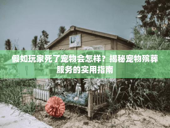 假如玩家死了宠物会怎样?揭秘宠物殡葬服务的实用指南 假如玩家死了宠物会怎样?揭秘宠物殡葬服务的实用指南