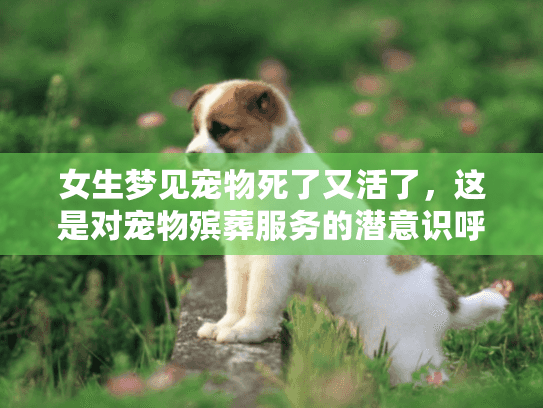 女生梦见宠物死了又活了,这是对宠物殡葬服务的潜意识呼唤吗? 女生梦见宠物死了又活了,这是对宠物殡葬服务的潜意识呼唤吗?