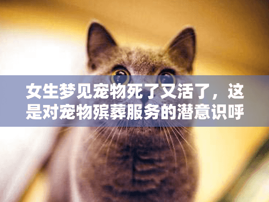 女生梦见宠物死了又活了,这是对宠物殡葬服务的潜意识呼唤吗? 女生梦见宠物死了又活了,这是对宠物殡葬服务的潜意识呼唤吗?