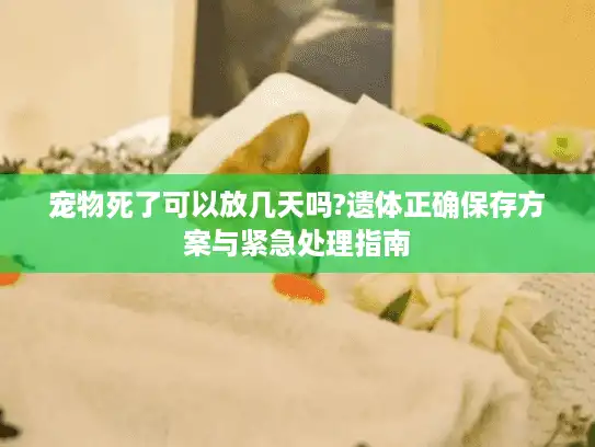 宠物死了可以放几天吗?遗体正确保存方案与紧急处理指南 宠物死了可以放几天吗?遗体正确保存方案与紧急处理指南